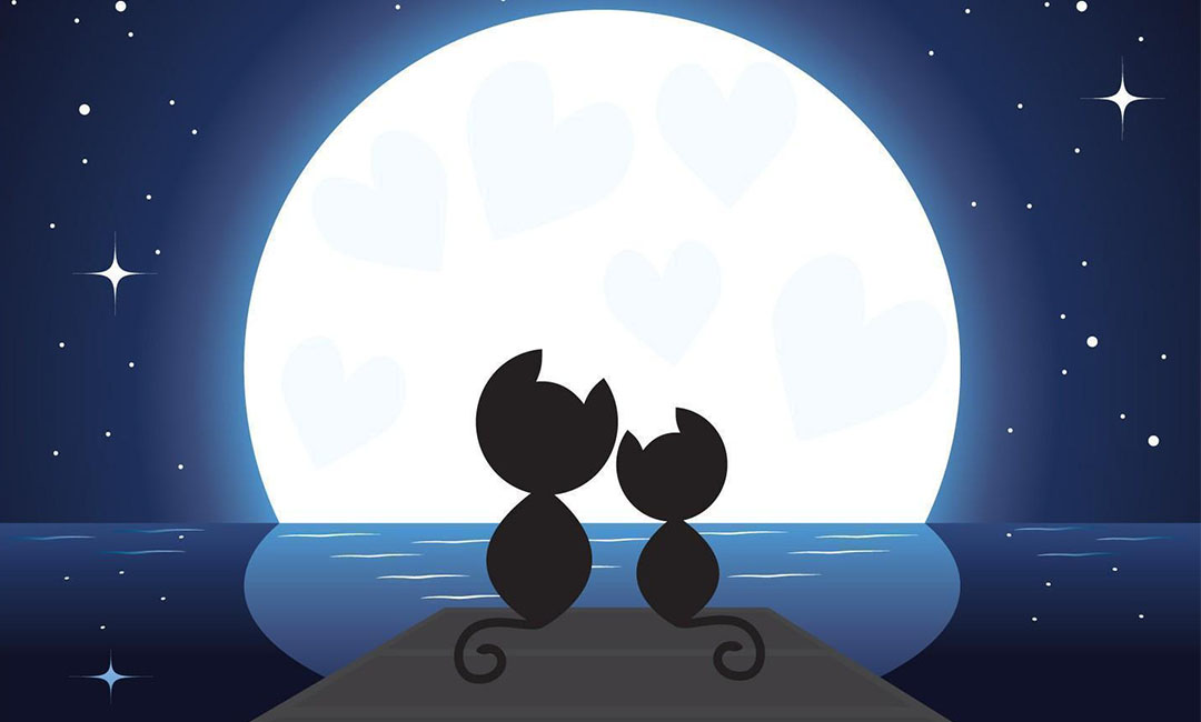 新余新余潮客汇微信活动策划案例